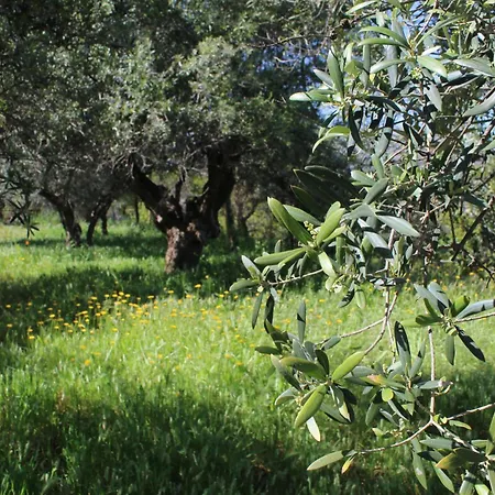 Cortijo Paredones Holiday home