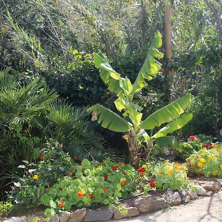 Cortijo Paredones Holiday home