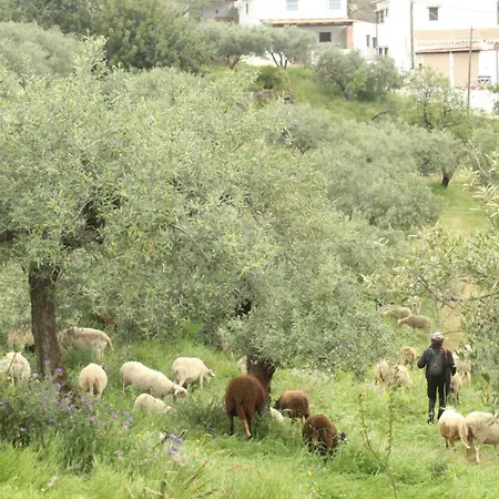 Cortijo Paredones *